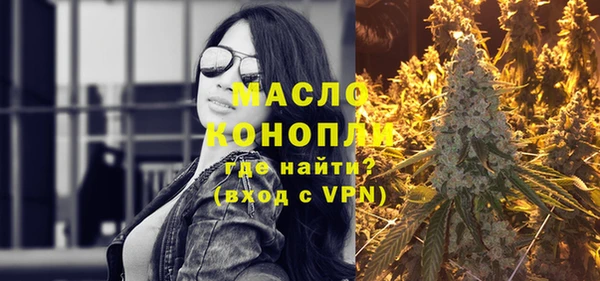 дмт Пестово