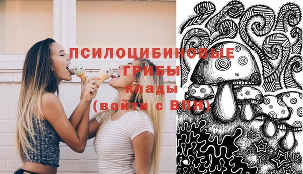 хмурый Абинск
