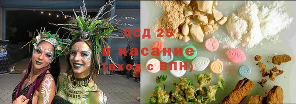 молекула духа Пересвет