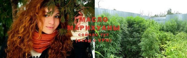 молекула духа Пересвет