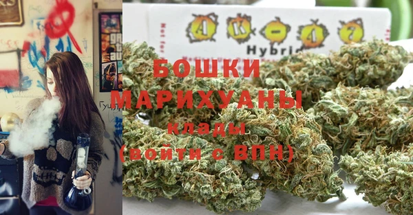 молекула духа Пересвет