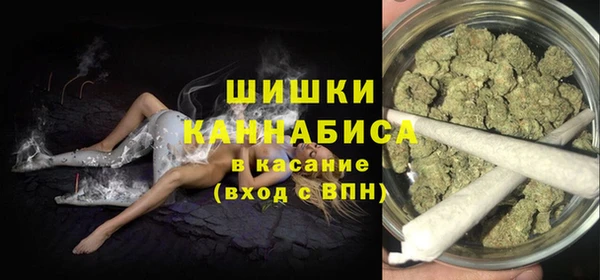 молекула духа Пересвет