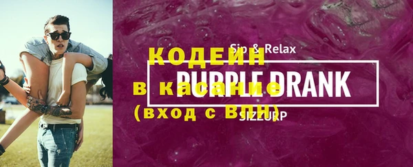 молекула духа Пересвет