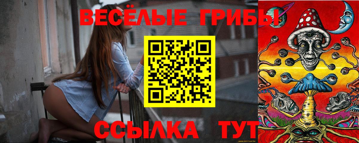Североморск  Псилоцибиновые грибы Psilocybine cubensis  Вход с VPN 