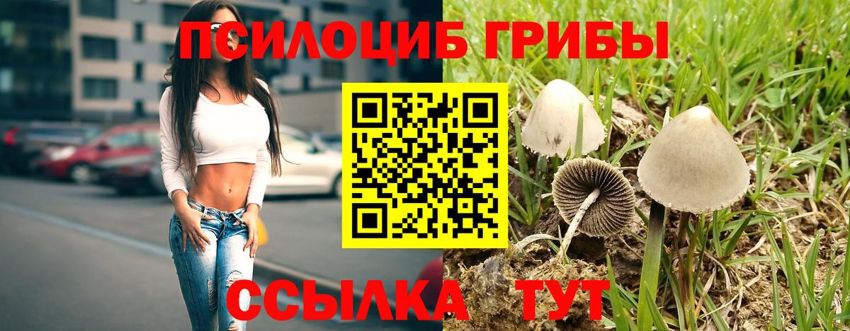 Галлюциногенные грибы GOLDEN TEACHER Североморск